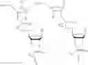 Fig. 16 - Oligonucleotide end caps