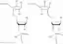 Fig. 17 - Oligonucleotide end caps
