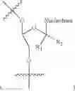 Fig. 18 - Oligonucleotide end caps