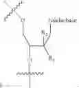 Fig. 19 - Oligonucleotide end caps