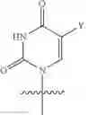 Fig. 53 - Oligonucleotide end caps
