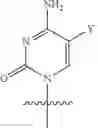 Fig. 57 - Oligonucleotide end caps