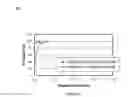 Fig. 09 - Monomers and oligonucleotides comprising cycloaddition adduct(s)