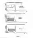 Fig. 16 - Monomers and oligonucleotides comprising cycloaddition adduct(s)
