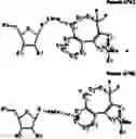 Fig. 33 - Monomers and oligonucleotides comprising cycloaddition adduct(s)