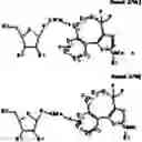 Fig. 34 - Monomers and oligonucleotides comprising cycloaddition adduct(s)