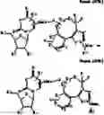 Fig. 35 - Monomers and oligonucleotides comprising cycloaddition adduct(s)