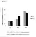 Fig. 14 - RNA MOLECULES AND USES THEREOF