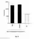 Fig. 11 - Double-stranded RNA conjugates and their use