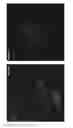 Fig. 12 - Double-stranded RNA conjugates and their use