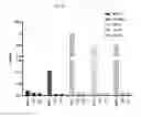 Fig. 17 - Double-stranded RNA conjugates and their use