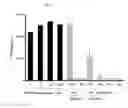 Fig. 25 - Double-stranded RNA conjugates and their use