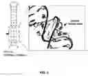 Fig. 03 - RNA oligonucleotide and immune system enhancer comprising same