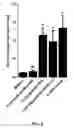 Fig. 06 - RNA oligonucleotide and immune system enhancer comprising same