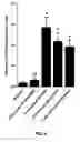 Fig. 07 - RNA oligonucleotide and immune system enhancer comprising same