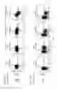 Fig. 15 - Method for expression of small antiviral RNA molecules with reduced cytotoxicity within a cell