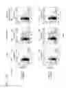 Fig. 17 - Method for expression of small antiviral RNA molecules with reduced cytotoxicity within a cell