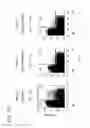 Fig. 20 - Method for expression of small antiviral RNA molecules with reduced cytotoxicity within a cell