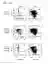 Fig. 22 - Method for expression of small antiviral RNA molecules with reduced cytotoxicity within a cell
