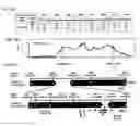 Fig. 12 - ISOLATED NUCLEIC ACIDS AND QUANTITATIVE TRAIT LOCI (QTL) FROM S. HABROCHAITES AND METHODS OF USE THEREOF FOR INCREASING RESISTANCE TO BACTERIAL SPECK DISEASE IN TOMATO AND OTHER PLANTS