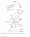 Fig. 02 - Biologically active synthetic nanoparticle constructs and methods of use thereof