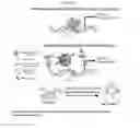 Fig. 09 - Biologically active synthetic nanoparticle constructs and methods of use thereof