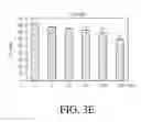 Fig. 11 - Ribonucleoprotein transfection agents