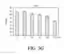 Fig. 13 - Ribonucleoprotein transfection agents