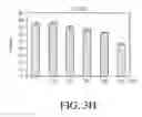 Fig. 14 - Ribonucleoprotein transfection agents