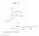 Fig. 02 - MICROORGANISM CAPABLE OF PRODUCING 1,4-BUTANEDIOL AND METHOD OF PRODUCING 1,4-BUTANEDIOL USING THE SAME