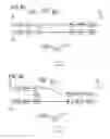 Fig. 04 - Accelerated isothermal amplification of DNA