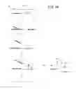 Fig. 27 - Accelerated isothermal amplification of DNA