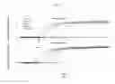 Fig. 35 - Accelerated isothermal amplification of DNA