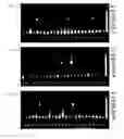 Fig. 15 - METHOD FOR OBTAINING IMMUNOGLOBULIN ENCODING NUCLEIC ACID