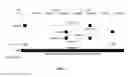Fig. 04 - Selective amplification of overlapping amplicons