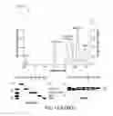 Fig. 18 - Methods for nucleic acid sequencing
