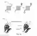Fig. 22 - Methods for nucleic acid sequencing
