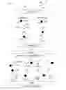 Fig. 26 - Methods for nucleic acid sequencing
