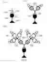 Fig. 35 - Methods for nucleic acid sequencing