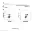 Fig. 12 - ON-SLIDE STAINING BY PRIMER EXTENSION