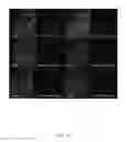 Fig. 16 - ON-SLIDE STAINING BY PRIMER EXTENSION