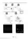 Fig. 17 - ON-SLIDE STAINING BY PRIMER EXTENSION