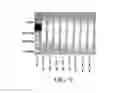 Fig. 12 - Sequence amplification with linear primers