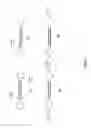 Fig. 08 - Isolation of polymerase-nucleic acid complexes