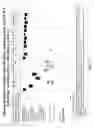 Fig. 17 - Isolation of polymerase-nucleic acid complexes
