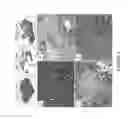 Fig. 09 - COMPOSITIONS, METHODS AND KITS FOR CHARACTERIZING AND SCREENING FOR SMALL CELL OVARIAN CARCINOMA