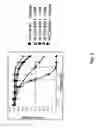 Fig. 08 - E1 ENZYME MUTANTS AND USES THEREOF