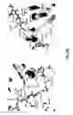 Fig. 15 - E1 ENZYME MUTANTS AND USES THEREOF