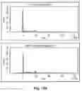 Fig. 20 - E1 ENZYME MUTANTS AND USES THEREOF