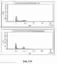 Fig. 21 - E1 ENZYME MUTANTS AND USES THEREOF